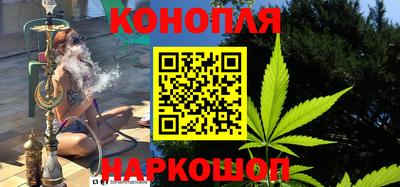 амф Новозыбков