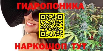 амф Новозыбков