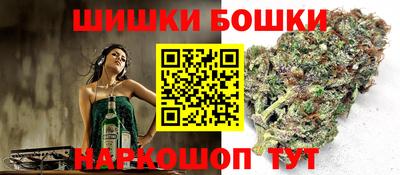 амф Новозыбков
