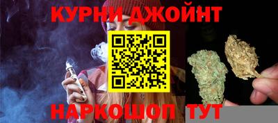 амф Новозыбков
