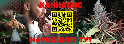 амф Новозыбков